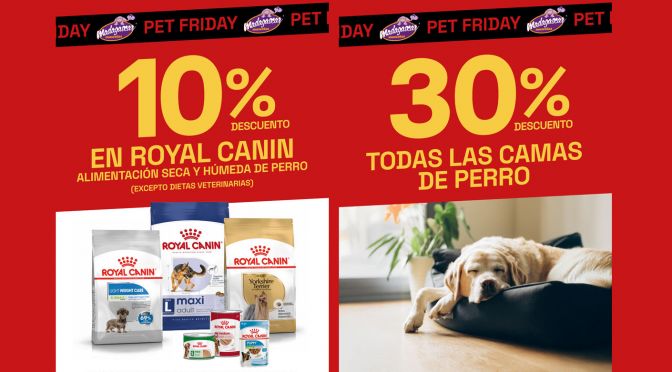 Black Friday Madagascar Mascotas